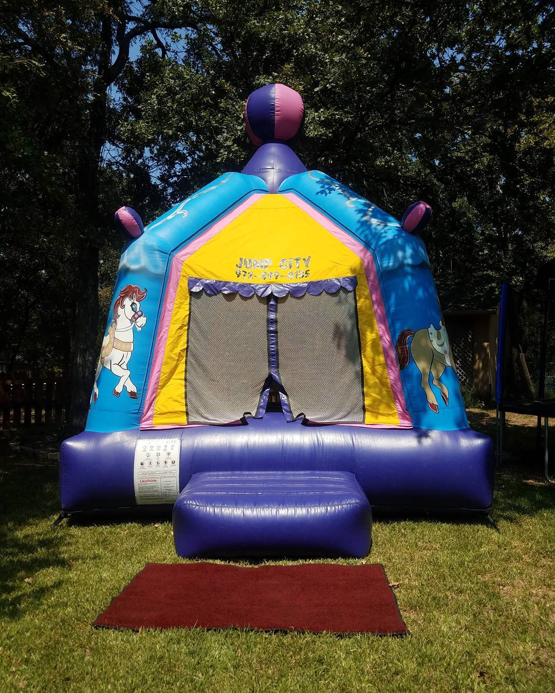 Pretty Carousel Bounce House Jump Houses Dallas