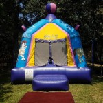 pretty carousel bounce house rental at event on the grass front view