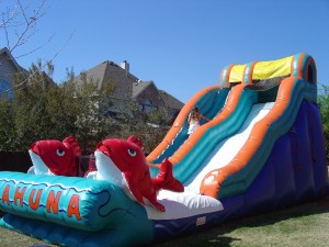 big kahuna water slide inflatable rental in the sun