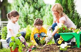 gardening