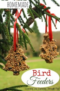 DIY bird feeder