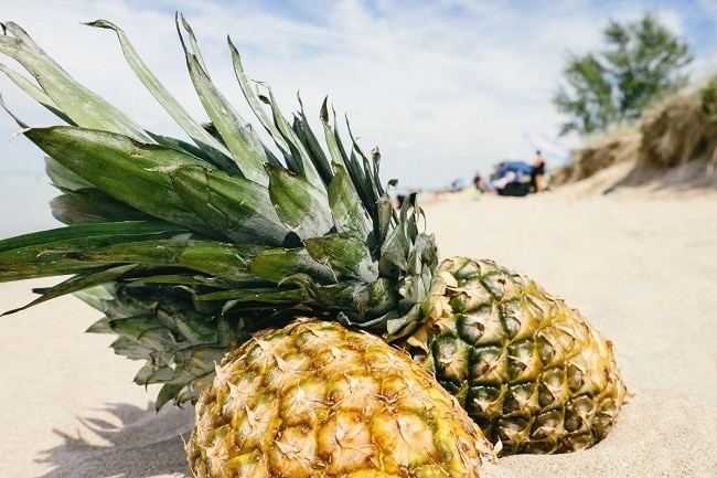 Pineapples in the sand 