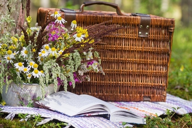 picnic-basket