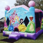 Little princess bounce house rental combo with slide on grass