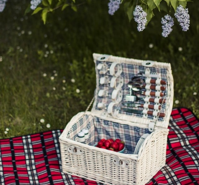 white picnic basket on a red plaid blanket on grass outside under greenery