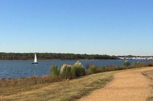 the colony shoreline lake