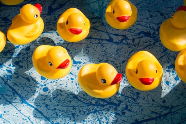 rubber ducks on water at a carnival